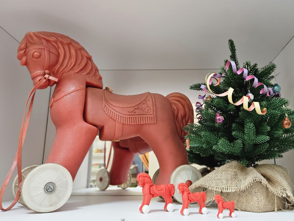    Фото: Олеся Жильцова