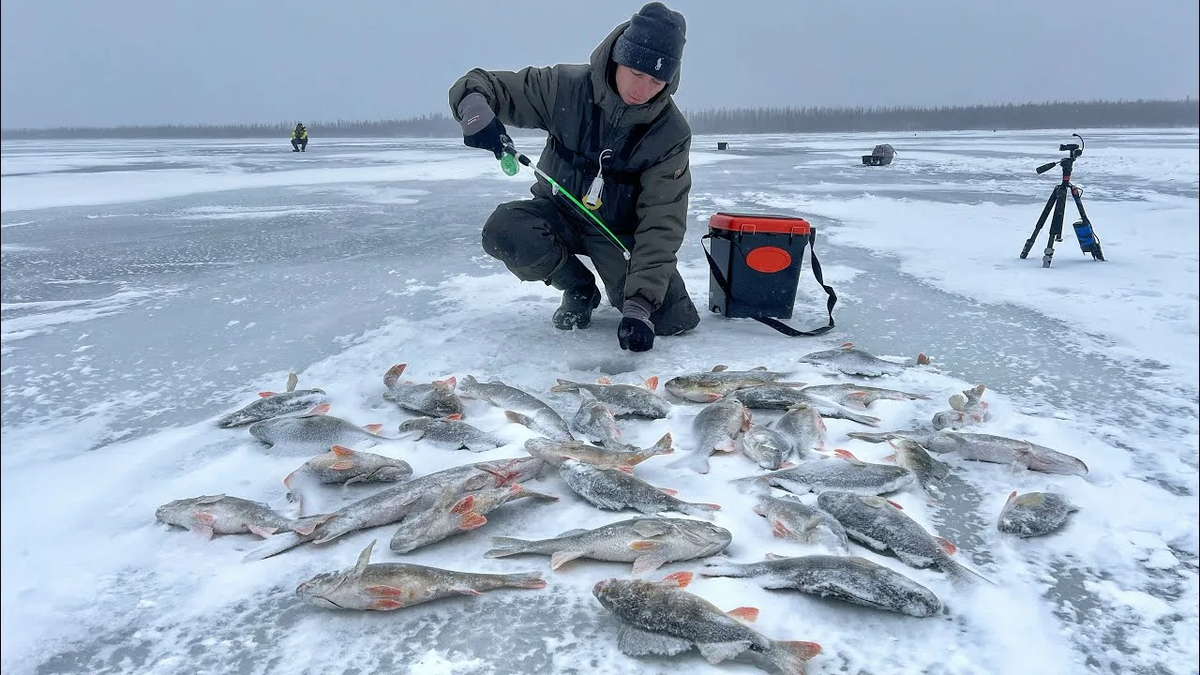 Зимняя рыбалка в удовольствие: все, что нужно знать для успешного зимнего отдыха 
