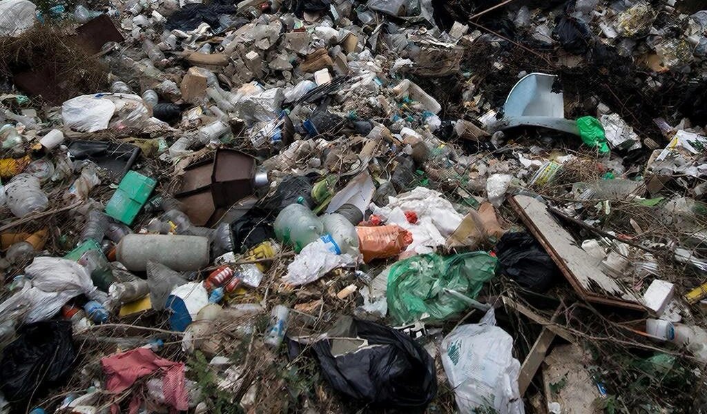    Фото: Нейросеть