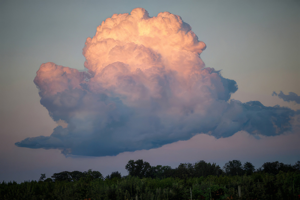 Кучевое облако над лесом
