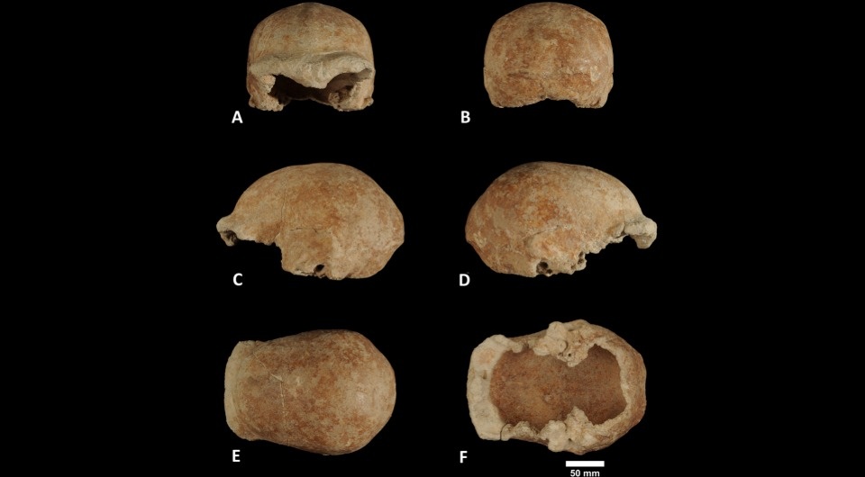   Museo delle Civiltà; Alessandra Sperduti et al. / Paleoanthropology, 2025