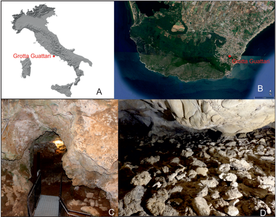   Alessandra Sperduti et al. / Paleoanthropology, 2025
