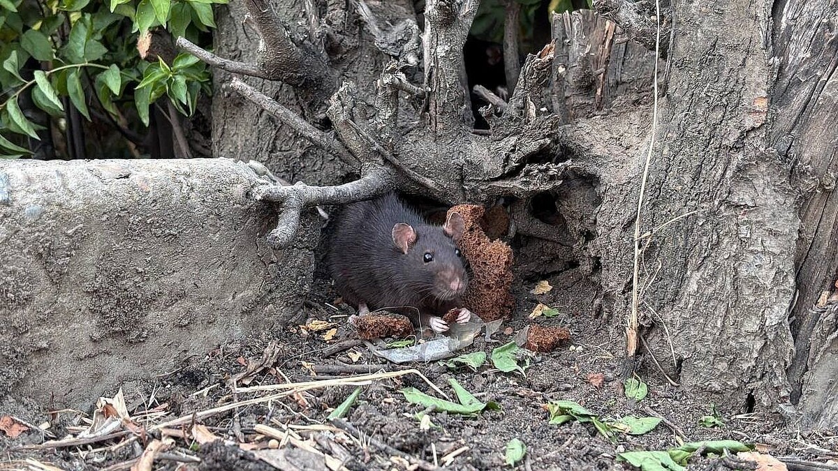    Фото: телеканал «Краснодар»