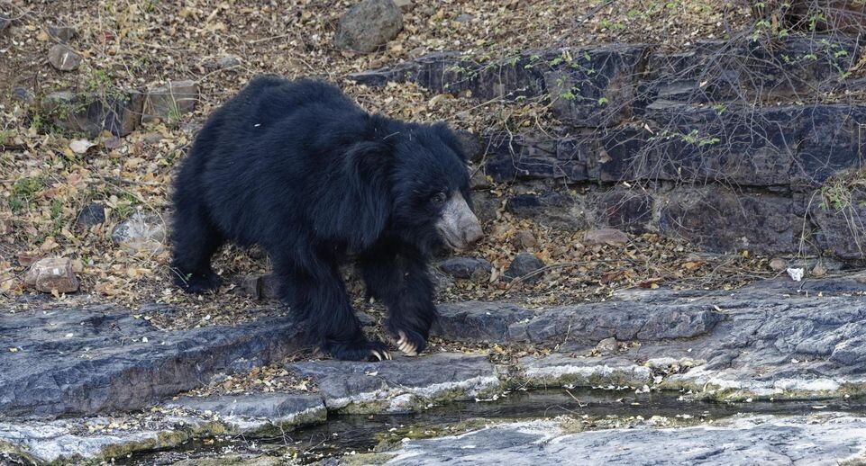    GTW/http://imagebroker.com/#/search/ / www.globallookpress.com