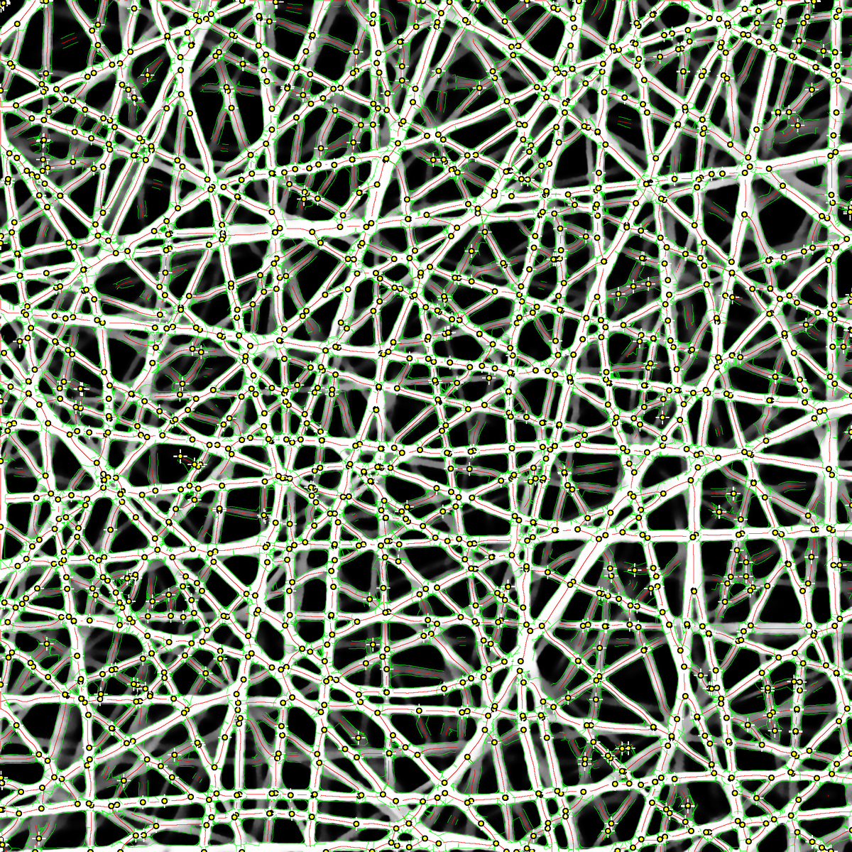 Иллюстрация: Сколтех  📷
