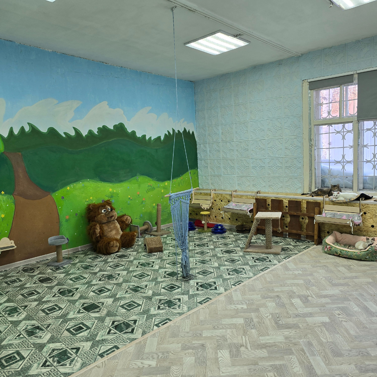 сказочный лес где котята играют в героев