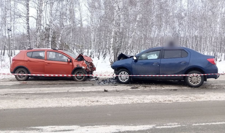 Фото: пресс-служба ГУ МВД России по Челябинской области