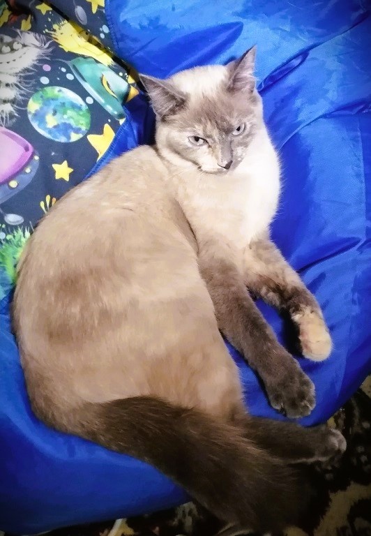 фото автора 