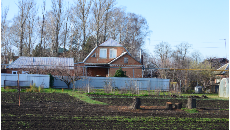 Фото автора. 24.12.2025. Солнечный зимний день в станице.