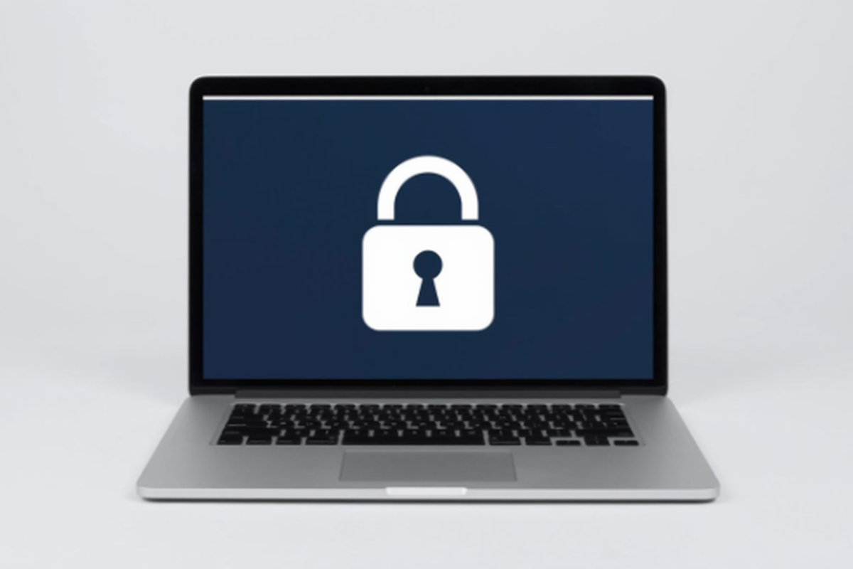    Фото: Коллаж RuNews24.ru