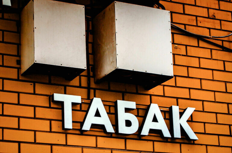   Елена Морозова/«Парламентская газета»