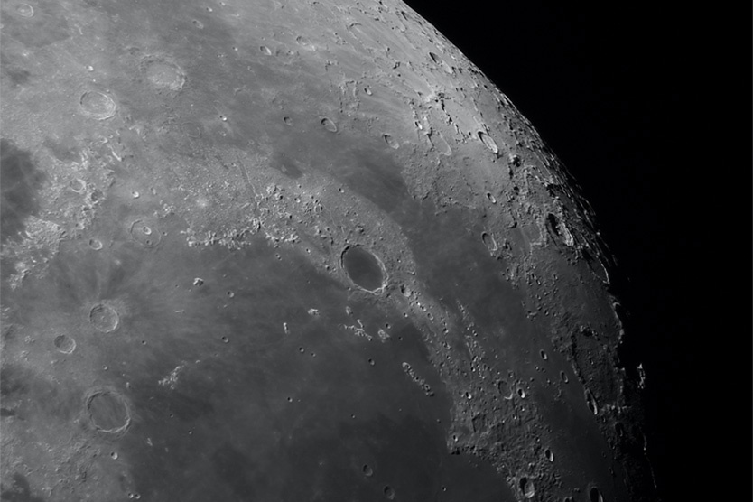     Фото: Rolf Geissinger / Stocktrek Images / TASS