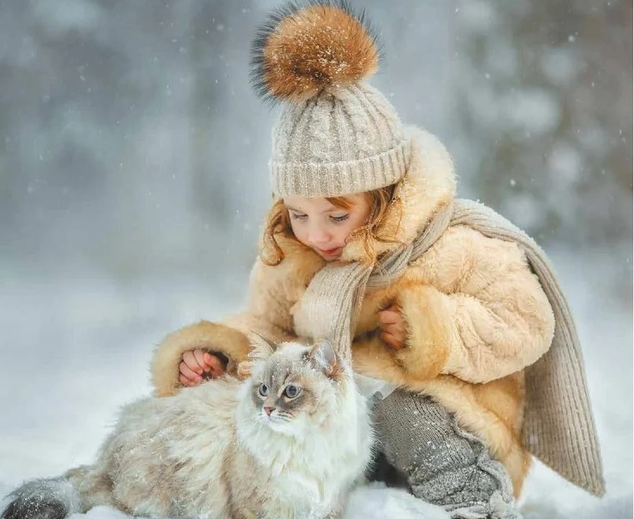 кот и девочка