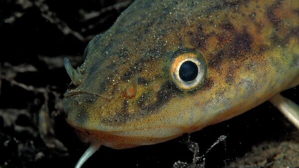    © Getty Images / ullstein bild