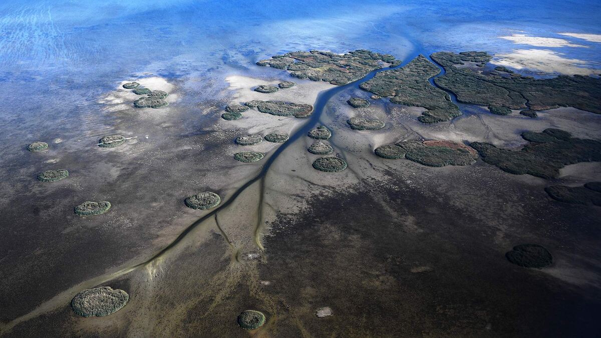 Фото: РИА Новости/Евгений Одиноко