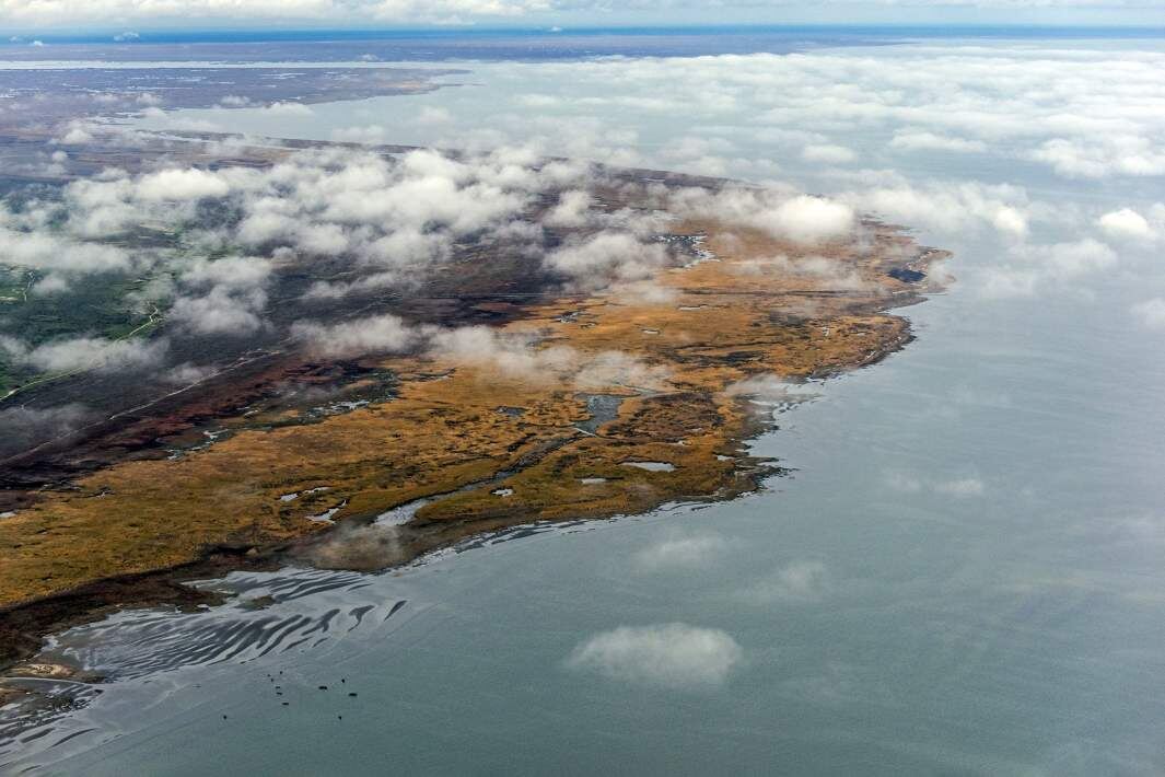 Фото: Global Look Press