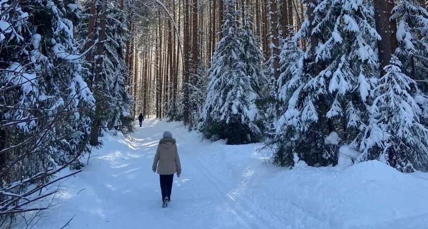    Фото prochepetsk.ru