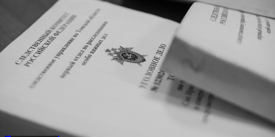 Северчанин украл земельный участок стоимостью 3,6 миллиона рублей