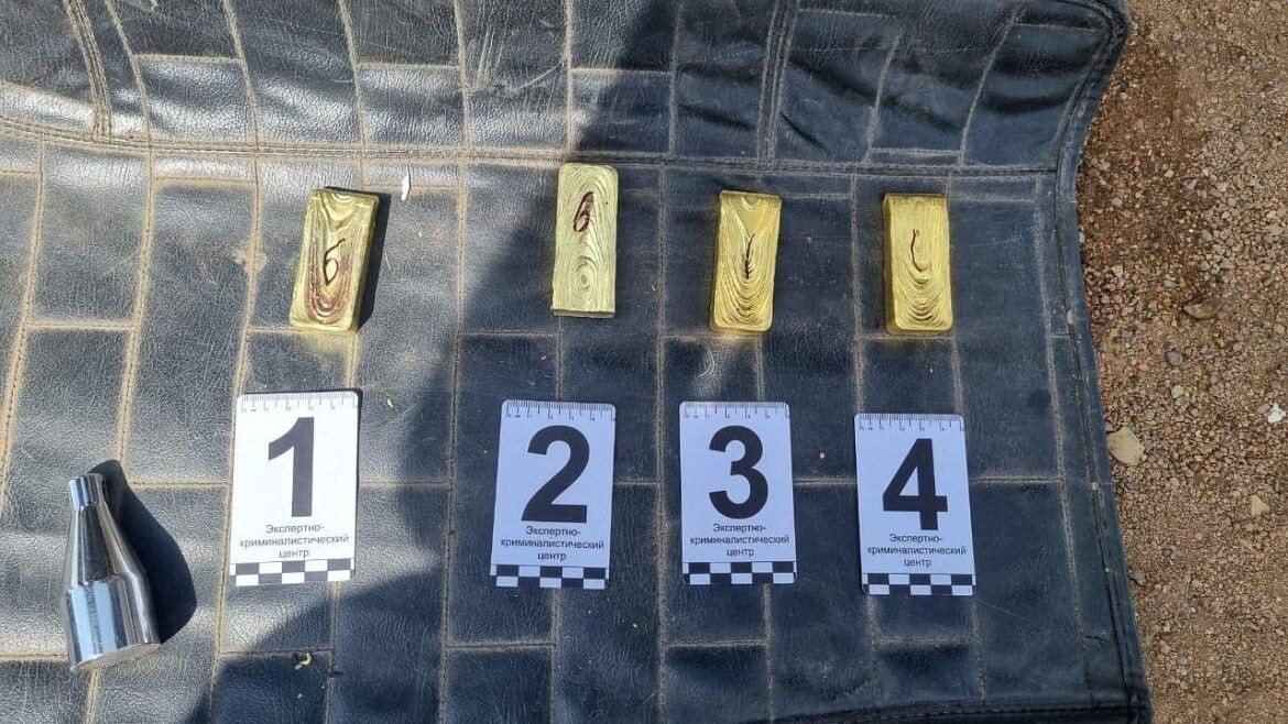    Фото: МВД Медиа