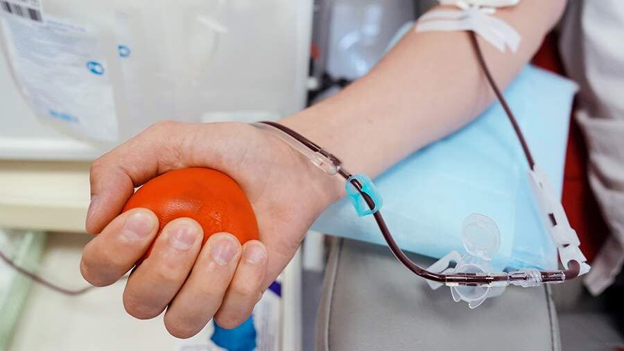    Фото: ИЗВЕСТИЯ/Эдуард Корниенко