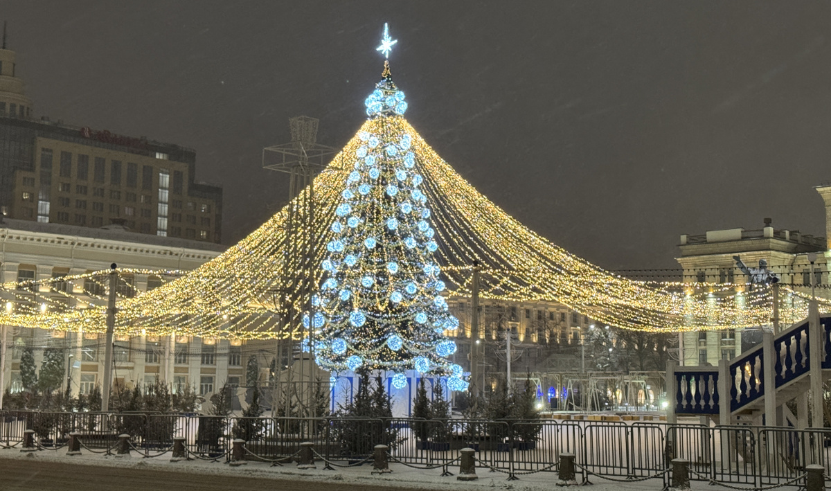     Ёлка на площади Ленина. Автор: Олег Петров. Фото: редакция.