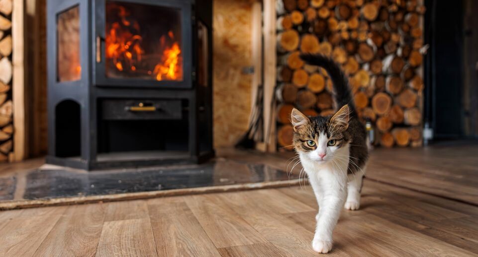    Медиасток.рф