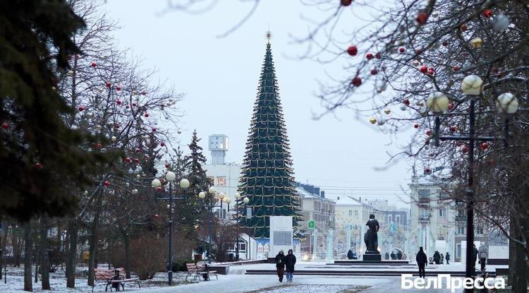 Фото: Елена Журавлёва