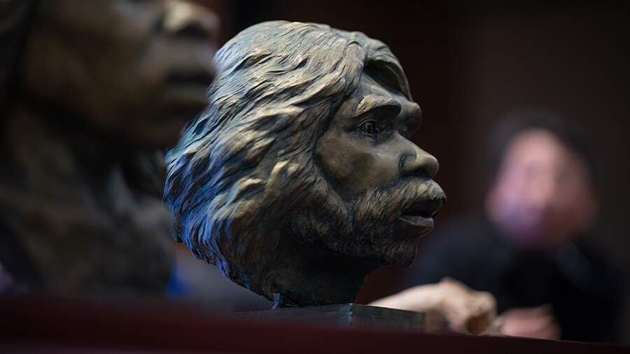    Фото: Global Look Press/Xiao Yijiu