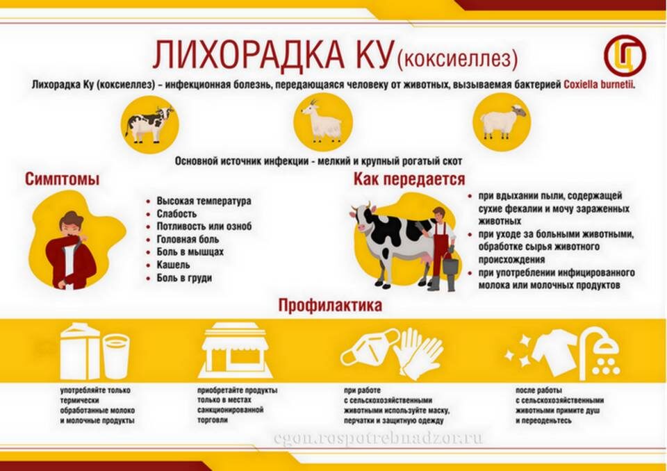    Скриншот: Роспотребнадзор по Волгоградской области