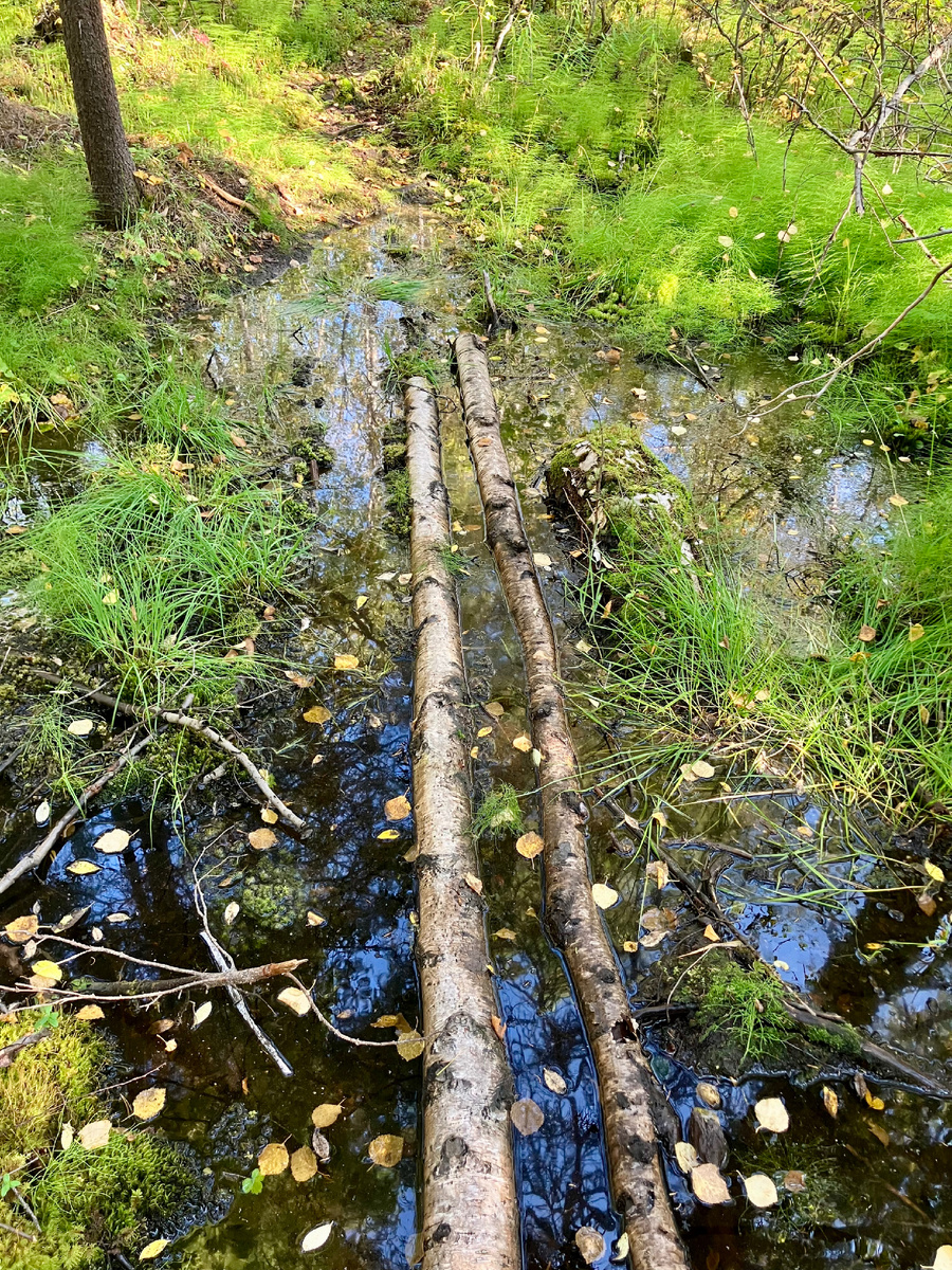 Уже через несколько метров после ухода со стоянки понеслось (поплылось, если точнее)