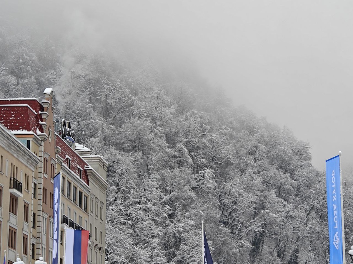    Фото: Юрий Серебренников/BFM Кубань