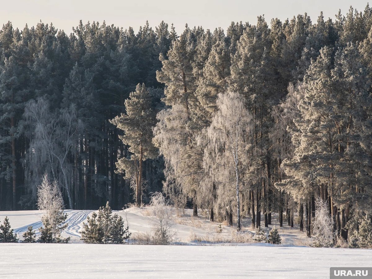     Новая ООПТ будет размещена в пределах Нытвенского и Ильинского муниципальных округов
