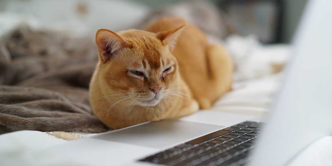 Какие личностные компетенции станут ключевыми в 2026 году?