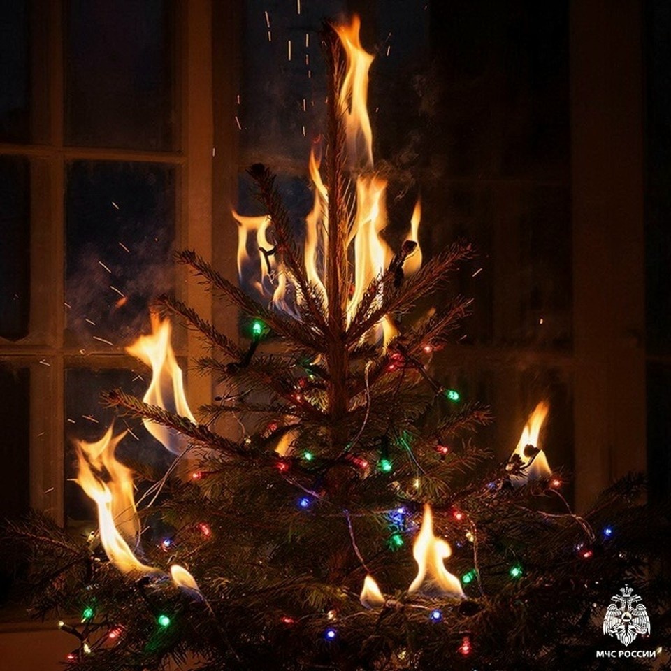    Фото: ГУ МЧС России п Смоленской области.