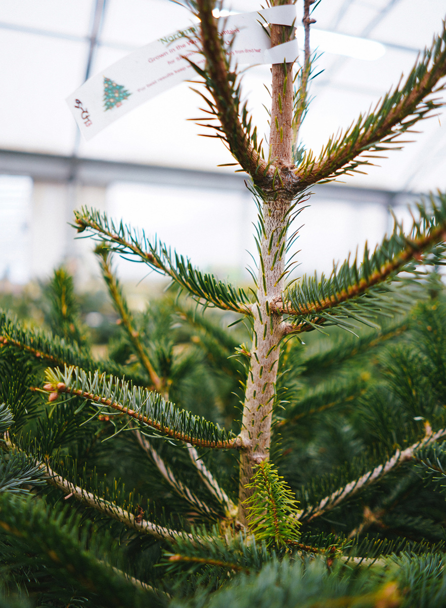    Phil Hearing/Unsplash