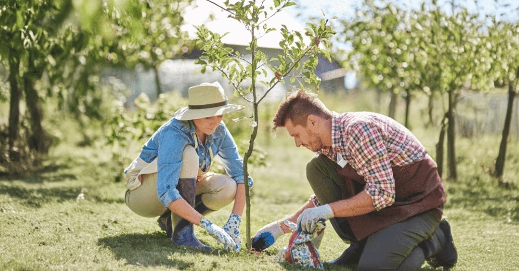 Что даёт нам работа в саду и огороде