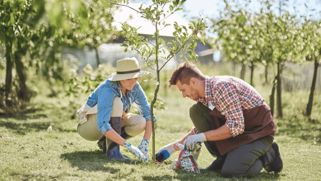 Что дает работа в саду и огороде