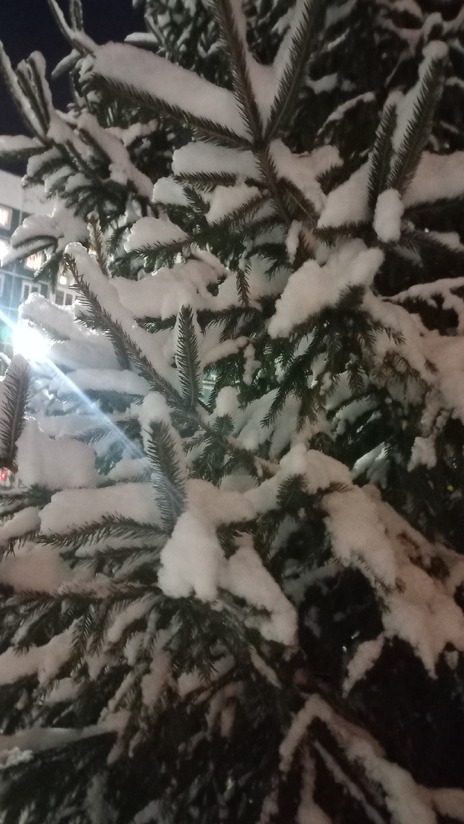 Снег в Питере 