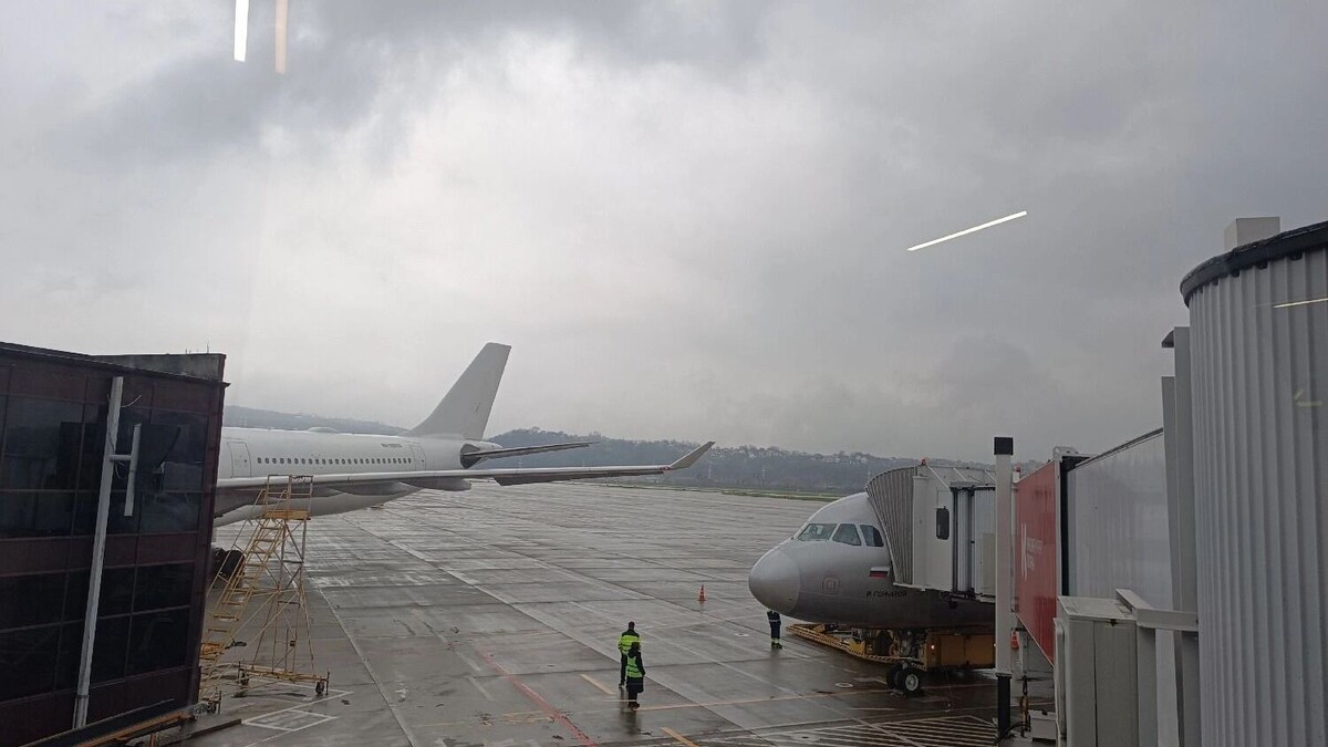    Теперь электронный билет равносилен бумажному   newsnn.ru