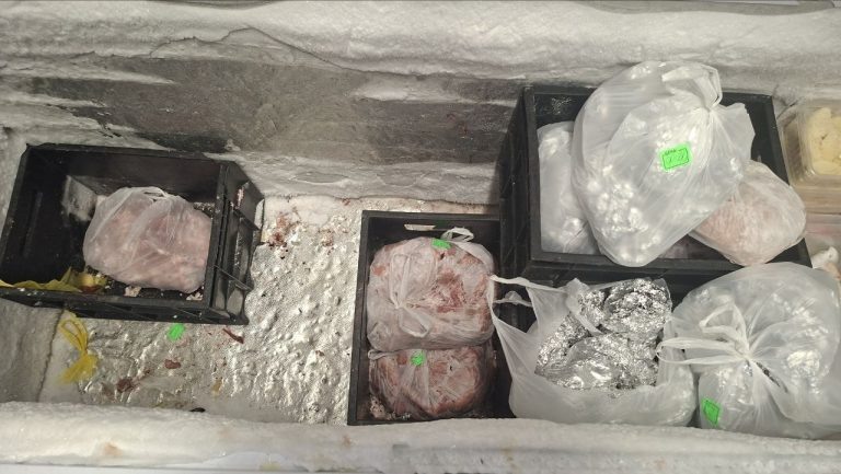    © Управление Россельхознадзора по Кировской области, Удмуртской Республике и Пермскому краю