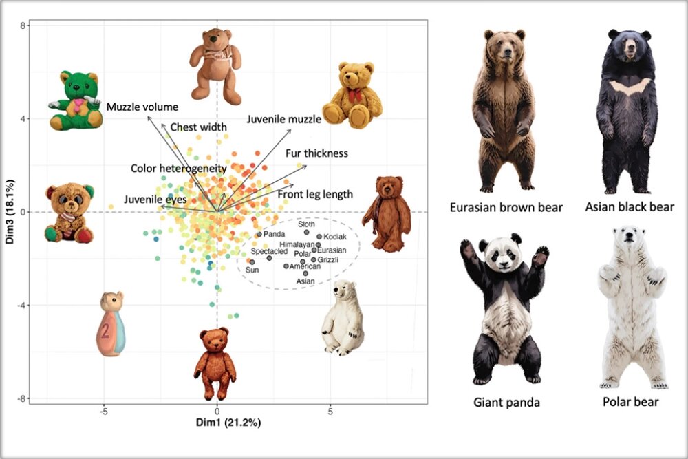    Для обработки материалов опроса были привлечены мощные компьютеры, сложная статистика и ИИ (искусственный интеллект). Фото: BioScience