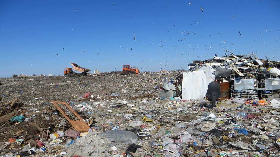 Полигон ТКО Скоково.📷Фото: Антон Голицын / Коммерсантъ