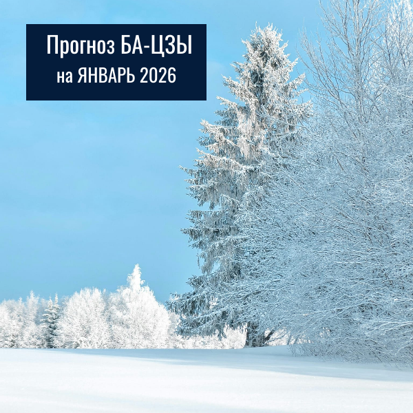 КРЕАТИВА АВТОРА