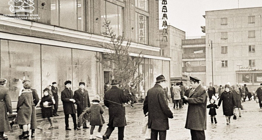    Государственный архив Калининградской области