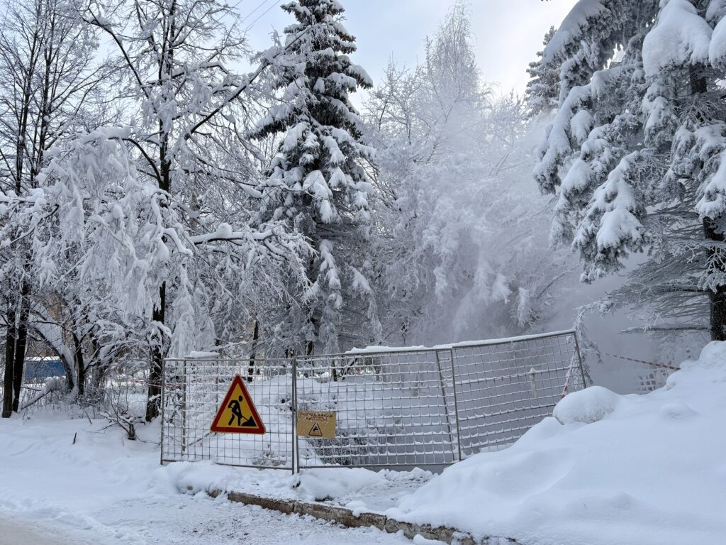    Фото: В курсе.ру Полина Анкушина