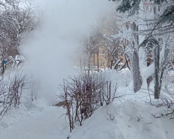    Фото: В курсе.ру Полина Анкушина