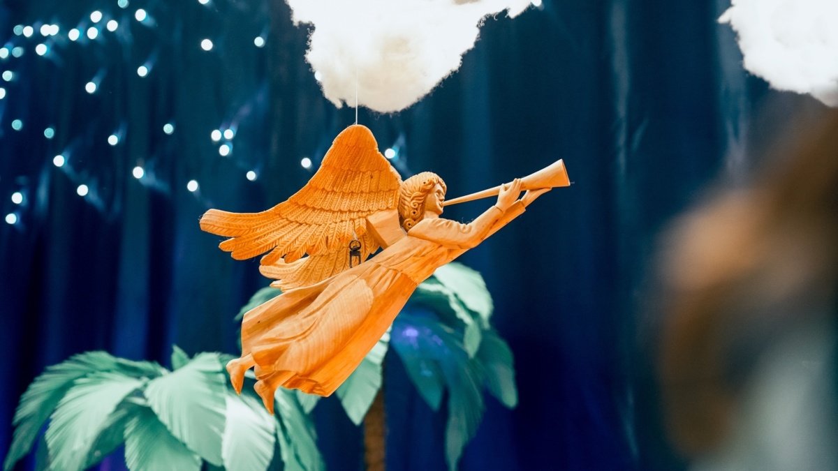 Светлана Мулыкина📷
