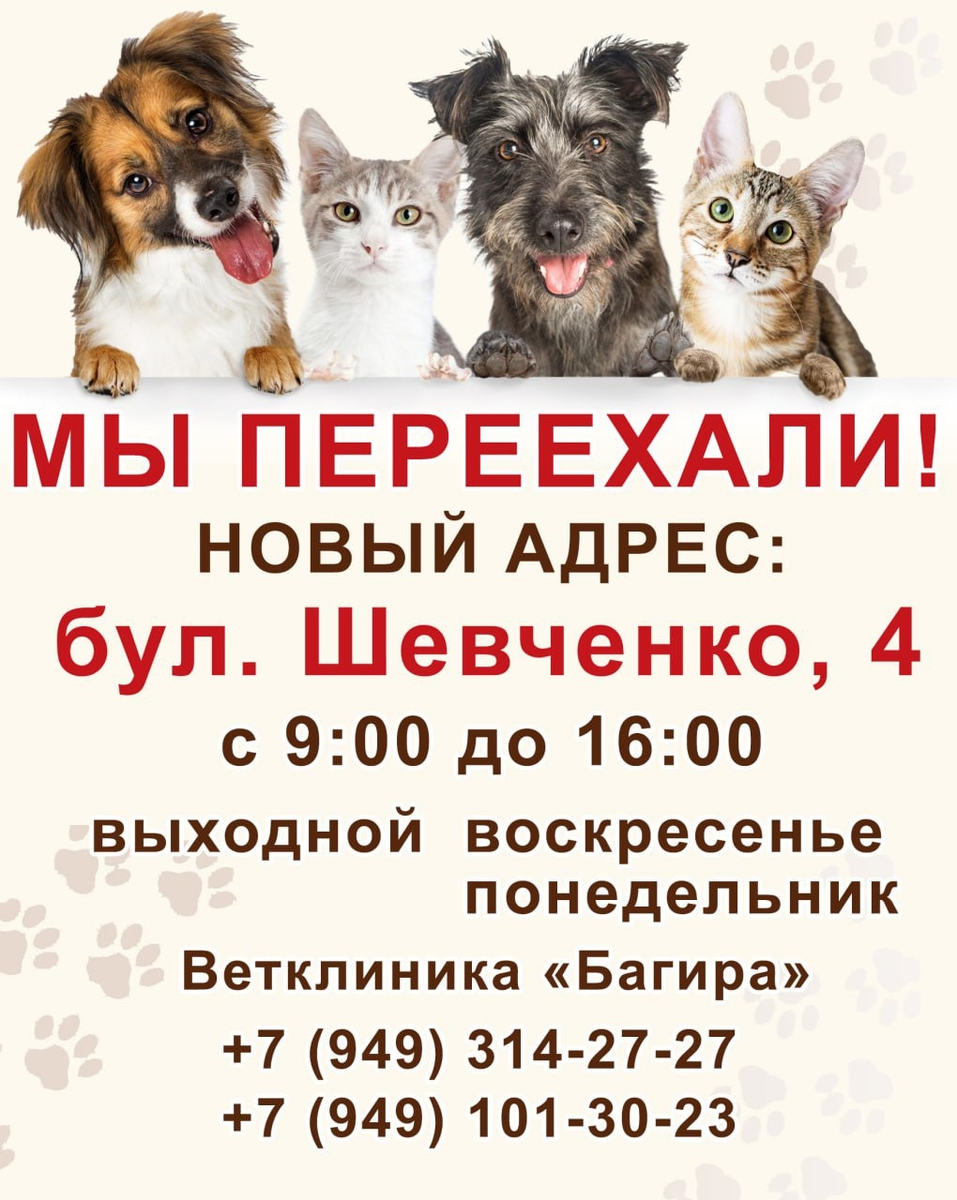 График работы ветеринарной клиники "Багира", г.Донецк