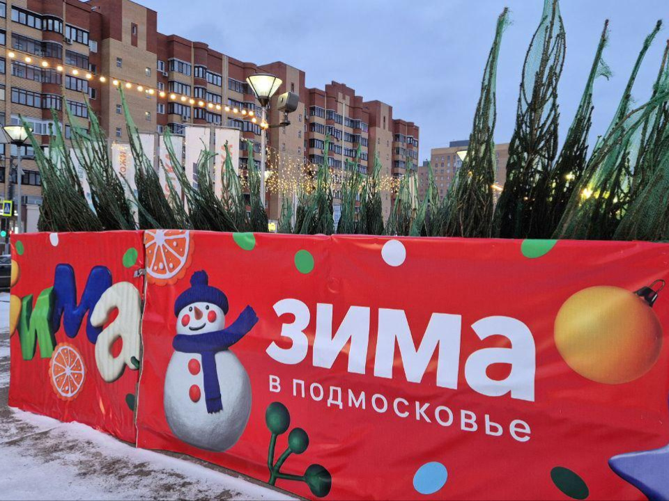    Фото: пресс-служба администрации г.о. Дубна