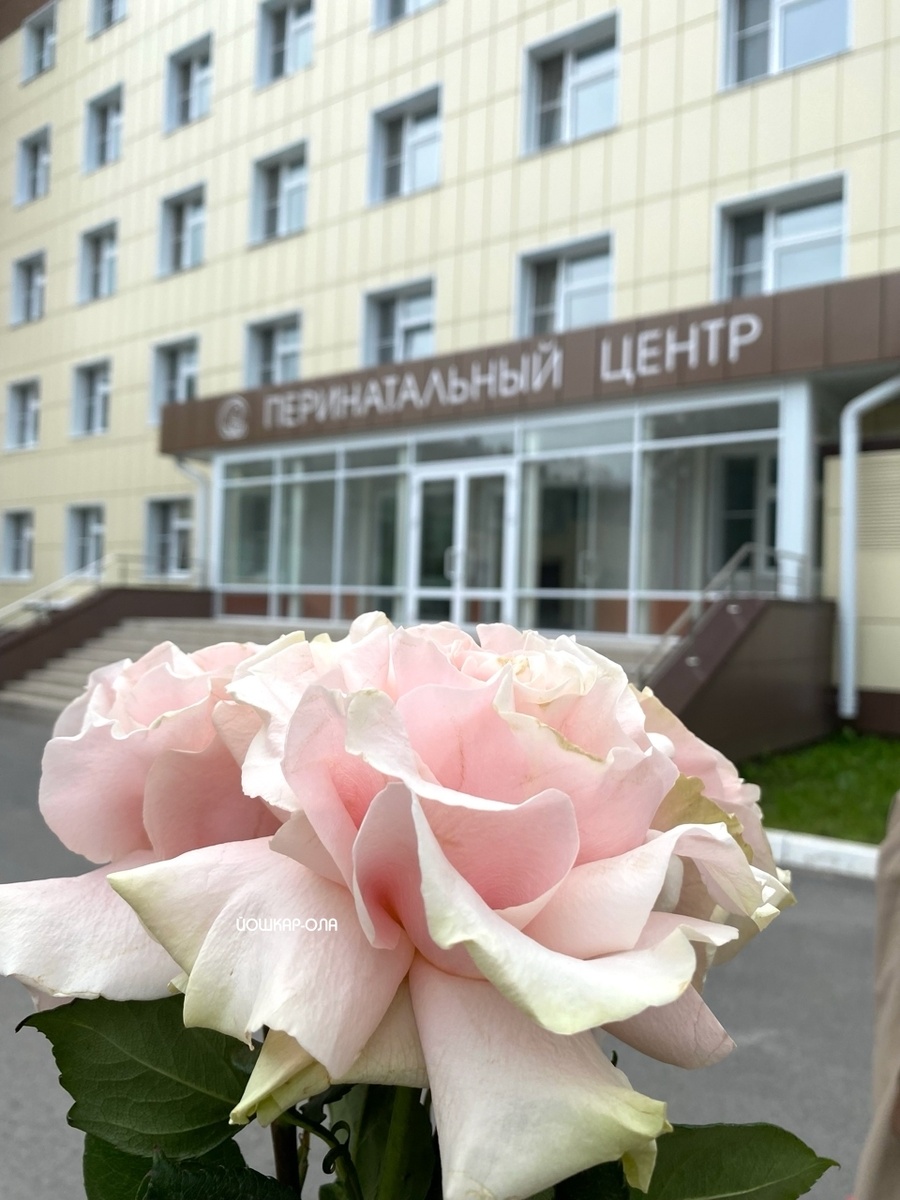 Фото Дарьи Быковой